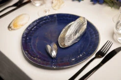 Anovi Mosselschep -Exporteren Kook Geur Winkel 12 Mosselen Anovi 12 1