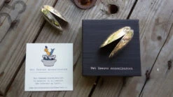 Anovi Mosselbestek 2-delig -Exporteren Kook Geur Winkel anovi mosselbestek