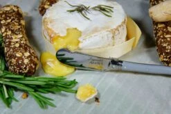 Laguiole Style De Vie Botermessen Treasure 4 Stuks -Exporteren Kook Geur Winkel sf gr laguiole botermes treasure 1