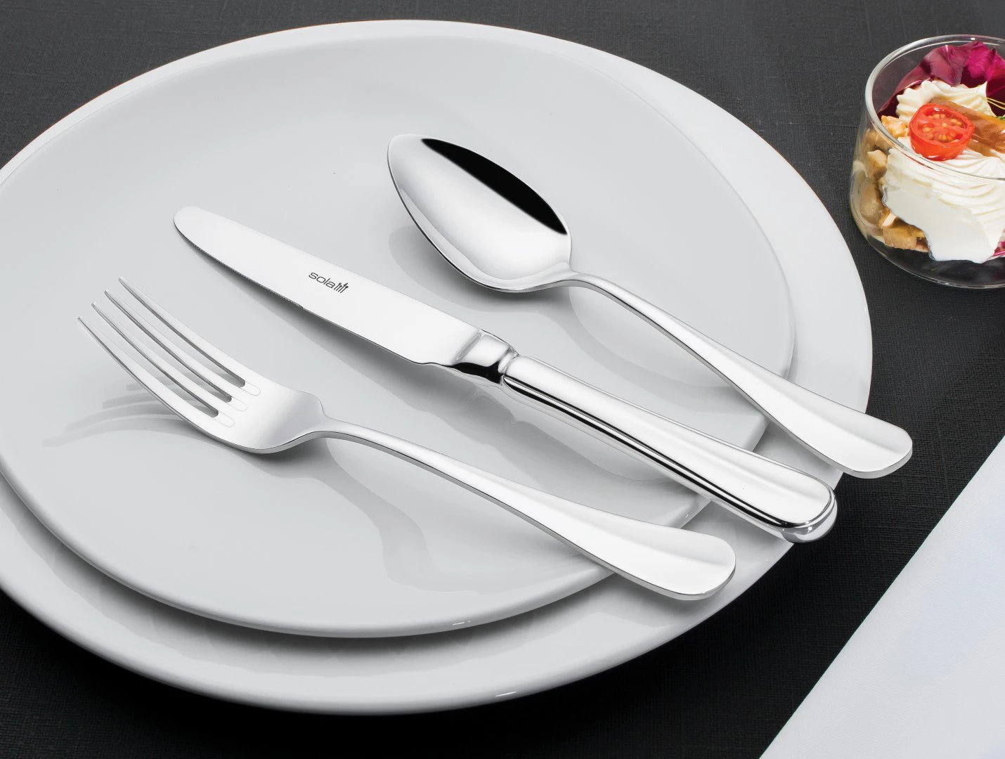 Sola Bestekset Hollands Glad - 50 Delig / 6 Personen 4 Sola Bestekset Hollands Glad - 50 Delig / 6 Personen - Afbeelding 2